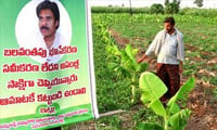 Will Power Star turn Farmers Star?